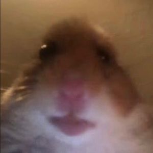 Meet your Posher, Joe